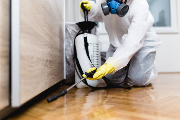 Best Best Pest Control Companies  in Pleasant Grove, OH