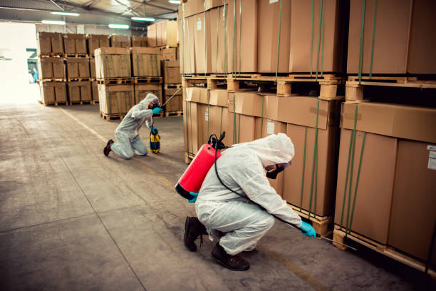 Best Rat Extermination Near Me  in Pleasant Grove, OH