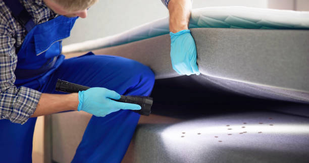 Best Affordable Pest Control Services  in Pleasant Grove, OH