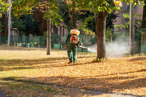 Best Mosquito Control Services  in Pleasant Grove, OH