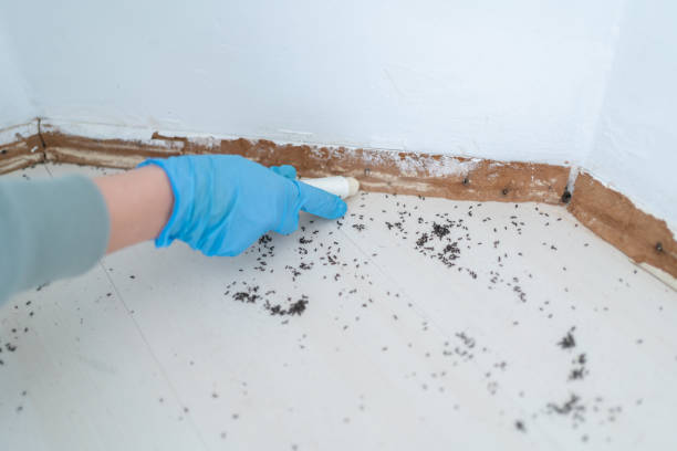 Best Residential Pest Control  in Pleasant Grove, OH