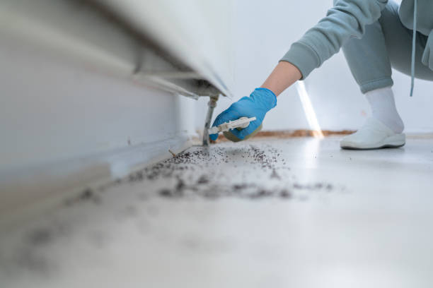 Insect Control in Pleasant Grove, OH