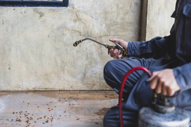 Best Commercial Pest Control Services  in Pleasant Grove, OH